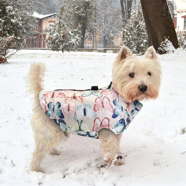 Ropa de Algodón para Perros Teddy Farrow