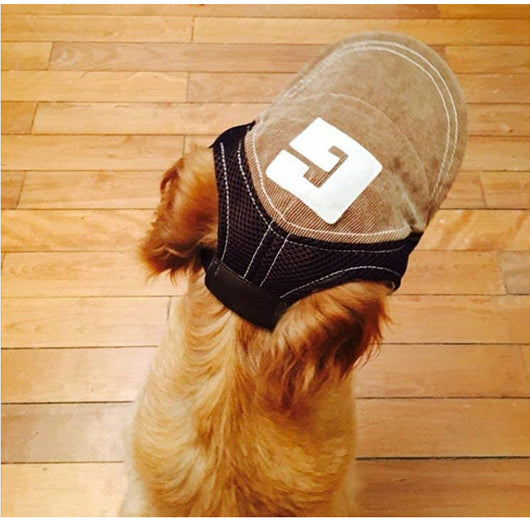 Gorra Protectora Solar para Perros Transpirable - Image 2