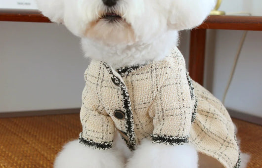 Vestido Princesa para Mascotas - Ropa Elegante para Perros y Gatos - Image 14