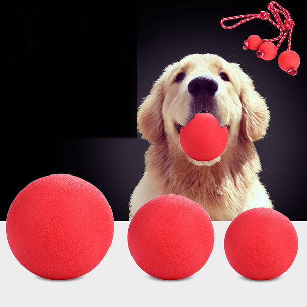 Pelota de Rebote Maciza de Caucho
