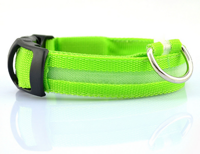 Collar LED de Seguridad para Perros - Image 6