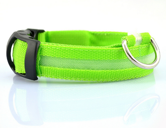 Collar LED de Seguridad para Perros - Image 6