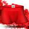 E248 red