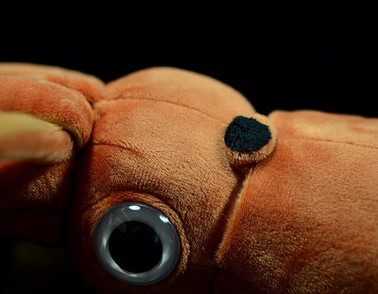 Peluche Realista de Sepia - Juguete Educativo de Animales Marinos - Image 14