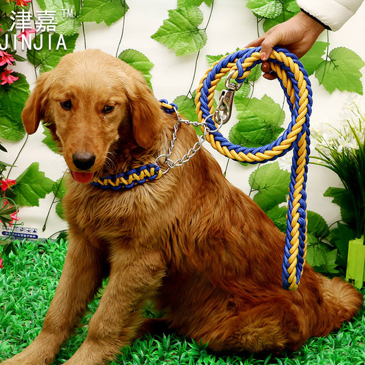 Correa Resistente para Perros Grandes con Cadena de Seguridad - Image 3