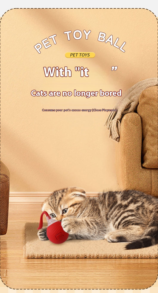 Interactive cat toy set featuring a blue rolling ball with a rope and a feather wand with a suction cup base. - Image 17