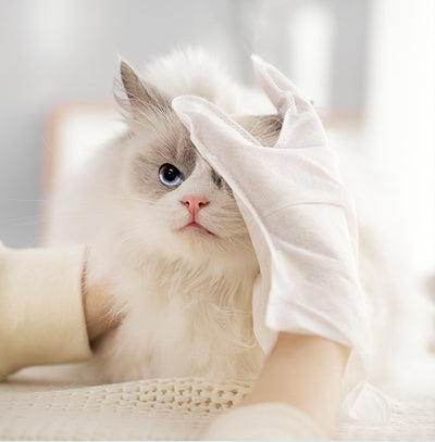 Guantes Desechables Desinfectantes con Papel Desodorizante para Mascotas - Image 13