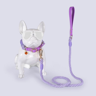 Juego de Collar y Correa para Perros Medianos y Grandes en Cuero y Algodón Tejido - Image 3
