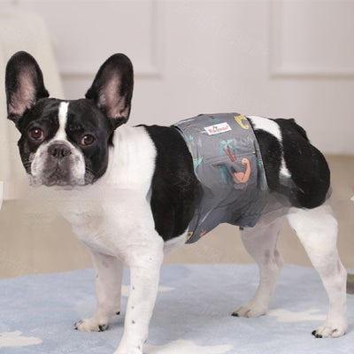 Pañales Fisiológicos Lavables para Perros - Image 21