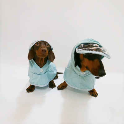 Poncho Impermeable con Capucha para Perros - Image 8