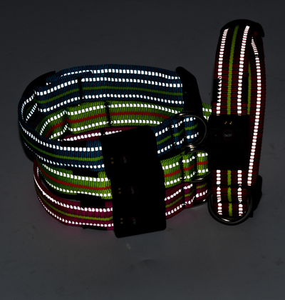 Collar Inteligente para Mascotas con Fibra Óptica, Impermeable y Carga Magnética - Image 7