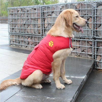 Abrigo de Algodón para Perros - Ropa de Invierno Cálida y Cómoda