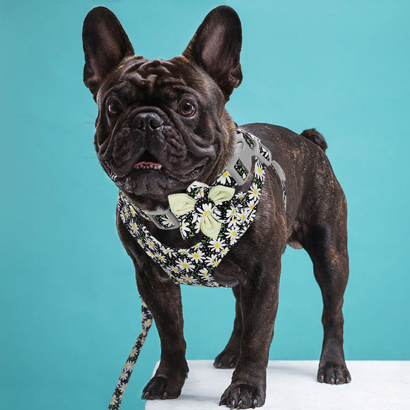 Arnés de Pecho Veststyle con Cuerda y Cadena para Pasear Perros