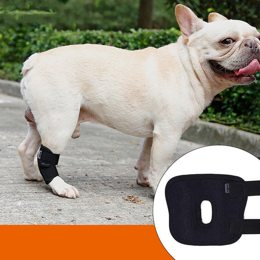Collarín de Inmovilización Anti Lamido para Mascotas - Image 8