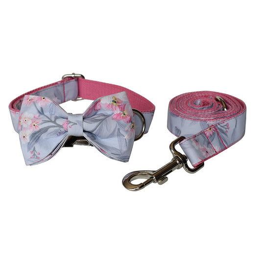 Collar y Correa para Perro con Diseño de Pintura Artística