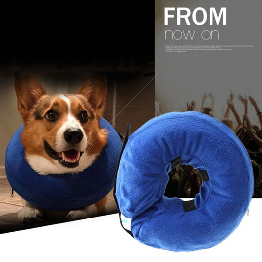 Collar Inflable Protector para Perros - Prevención de Mordidas y Lamidas - Image 2