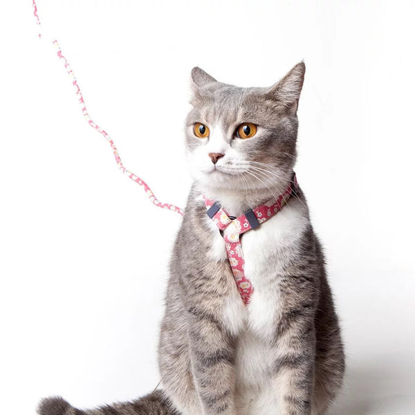 Cuerda Deslizante para Gatos