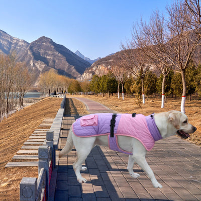 Abrigo Térmico para Perros - Invierno y Otoño - Image 2
