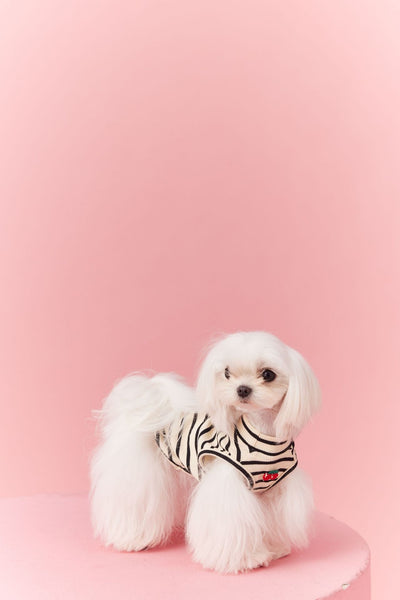 Chaleco sin Mangas Schnauzer Teddy Bichón a Rayas Cerezo - Image 7