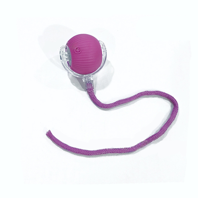 Blue and clear interactive cat ball toy with a rope, shown with three playful cats in the background. - Image 16