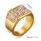Titanium steel diamond men's ring Dorado 10number