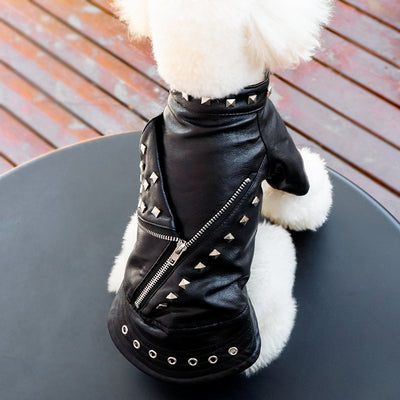 Ropa de Cuero para Mascotas - Colección Otoño e Invierno - Image 3