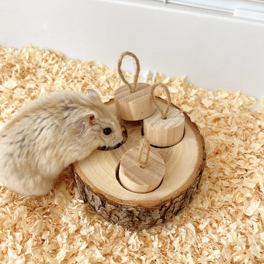 Wooden pet foraging snack box with three colorful pegs (blue, red, green) and green string 'stems' for rabbits and guinea pigs. - Image 4