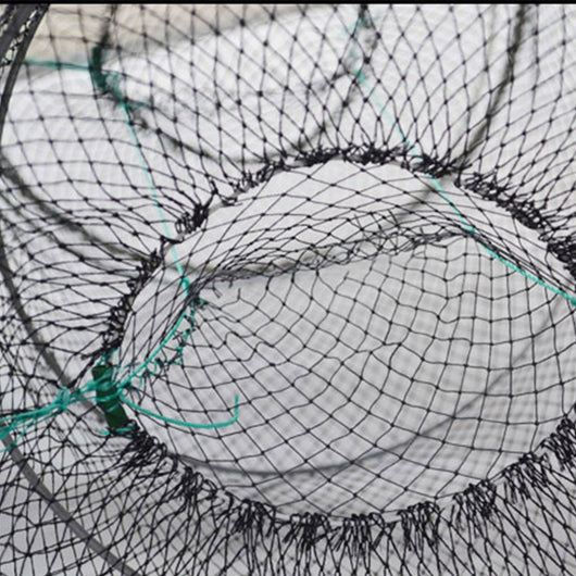 Trampa y Jaula para Peces y Tortugas - Herramienta de Captura Profesional - Image 4