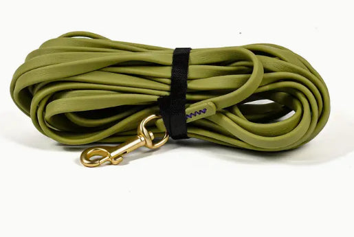 Correa de Adiestramiento Reforzada de 1cm Anti Rotura para Perros - Image 9