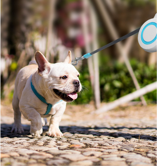 Correa Retráctil Automática para Mascotas con Control Manual