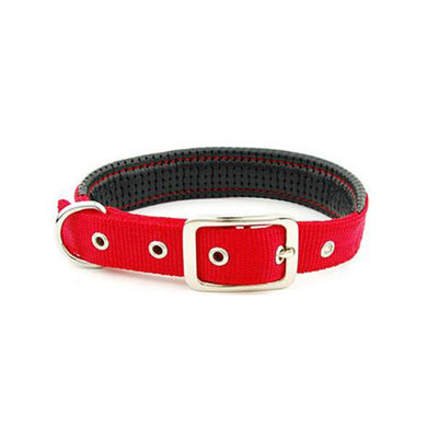 Collares para Perros Medianos y Grandes - Image 13