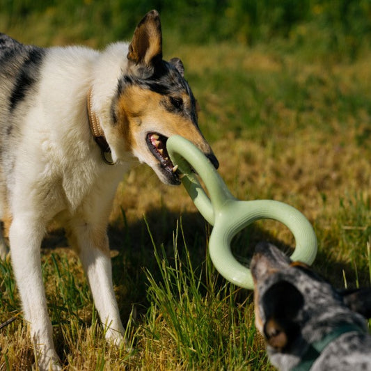 Light green rubber pet bite and pull toy shaped like a figure eight, with a ribbed texture on one end.