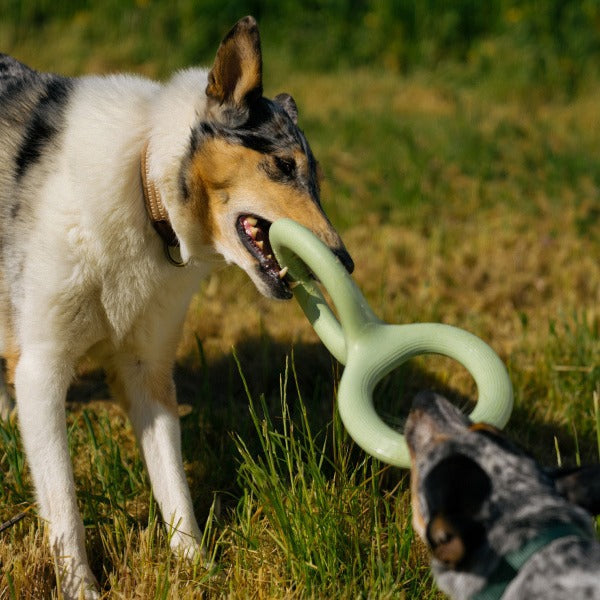 Light green rubber pet bite and pull toy shaped like a figure eight, with a ribbed texture on one end.