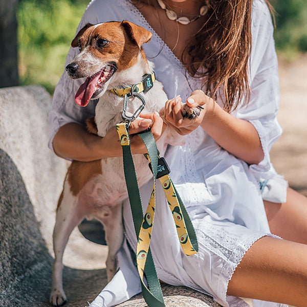 Correa de Tracción para Perros con Cinta Impresa