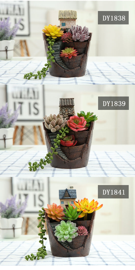 Maceta Decorativa con Suculentas - Miniatura de Jardín y Bonsái - Image 16