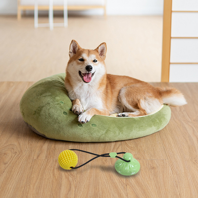 Juguete Masticable de Maíz con Ventosa - Juego Interactivo de Tracción para Perros Medianos y Grandes - Image 14