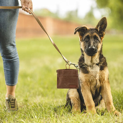 Bolsa Portátil para Snacks de Perro - Diseño Moderno para Entrenamientos - Image 2