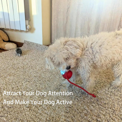 Pelota Inteligente Automática para Perros y Gatos - Juguete Interactivo 360° - Image 9