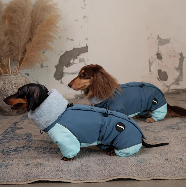 Abrigo Acolchado Térmico para Perros Salchicha - Invierno y Otoño