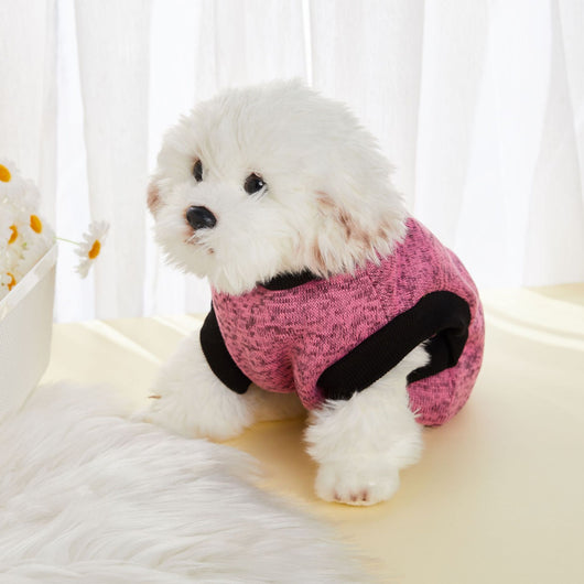 Chaleco Térmico Acolchado para Perros con Forro Polar - Image 17