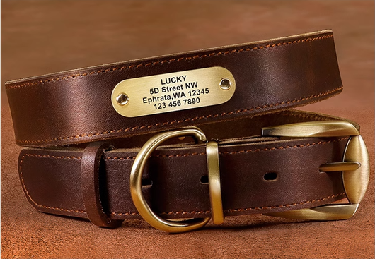 Collar de Cuero Genuino para Perro con Grabado Antiextravío - Image 12