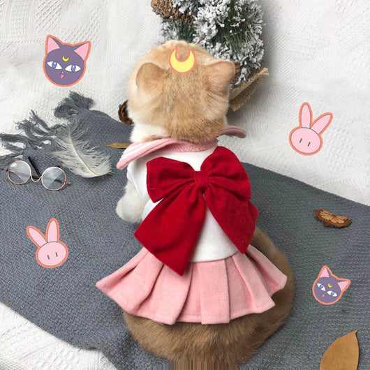 Ropa de Gato Viral para Primavera y Verano - Image 9