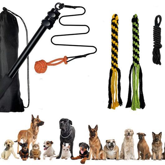 Vara Extensible de Adiestramiento para Perros con Diseño Divertido - Image 2