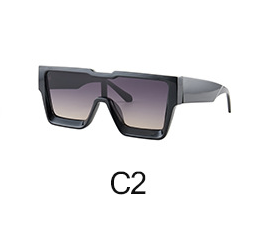 Gafas de Sol Personalizadas Montura Integral Trendy - Image 3