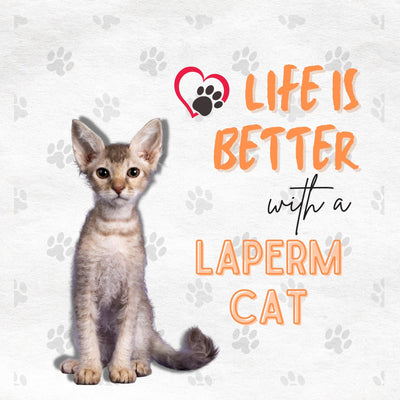 Funda de Almohada con Estampado de Gato Artístico en Algodón y Lino - Image 15