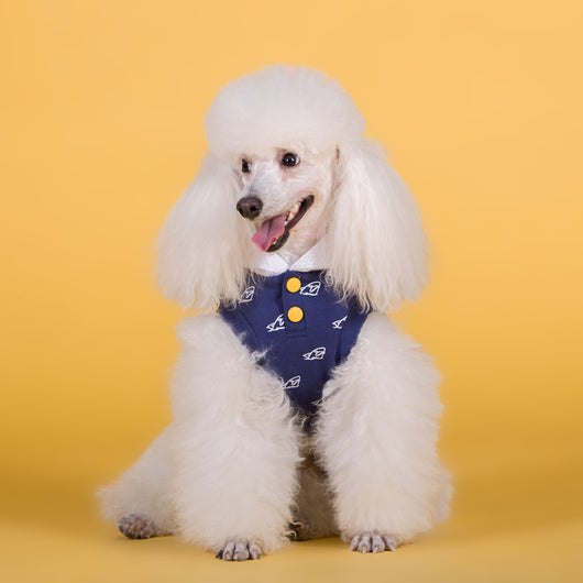 Ropa Elástica de Algodón para Perros - Primavera y Verano - Image 4