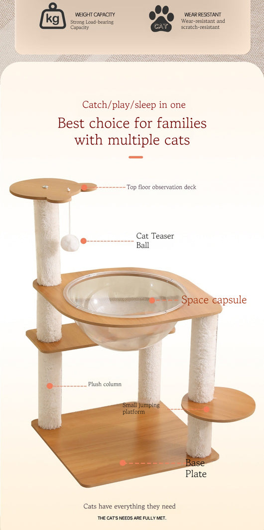 Multi-layer cat tree with a plush top bed, clear space capsule, wooden cat house, sisal scratching posts, and climbing stairs. - Image 8