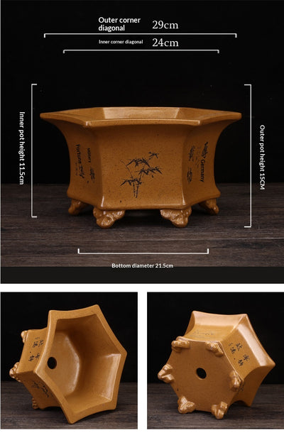 Maceta Hexagonal de Cerámica Transpirable para Orquídeas - Image 14