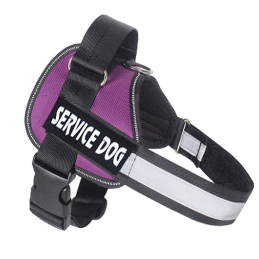 Arnés de Control Premium para Labrador - Image 8