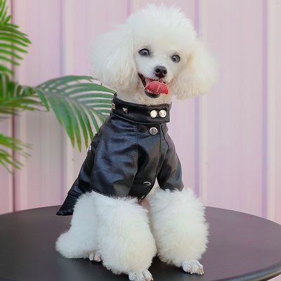 Ropa de Cuero para Mascotas - Colección Otoño e Invierno - Image 2